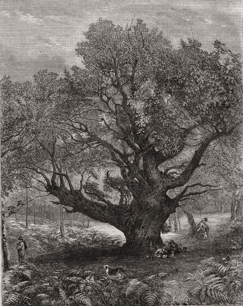 Exhibition of The Royal Academy.